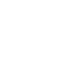 Digital Conference Solutions