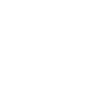 SEO & SMO