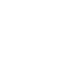 Digital PR Campaigns
