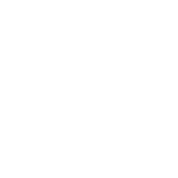 Hands-on Workshops